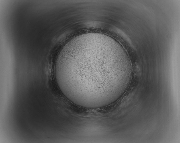 X0000102760918200808181106
