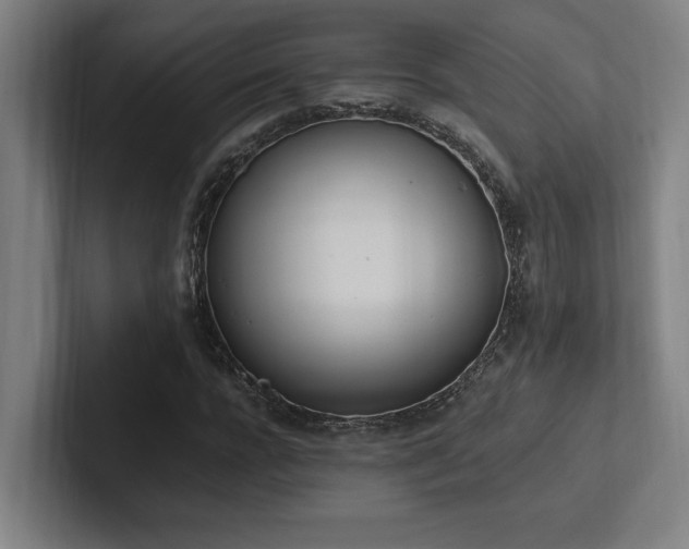 X0000102760920200808181106