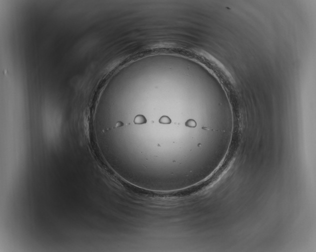 X0000102760921200808181106