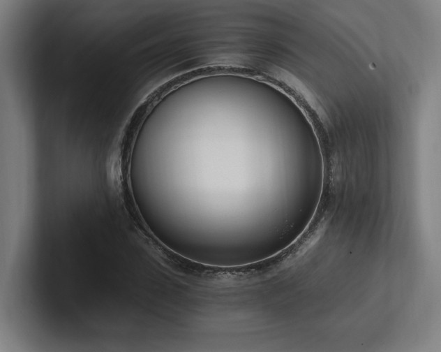 X0000102760923200808181106