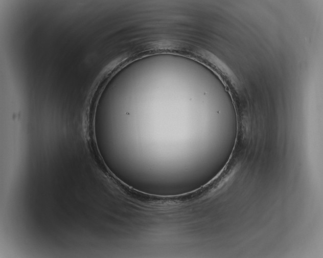X0000102760930200808181106