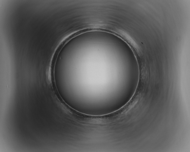 X0000102760932200808181106