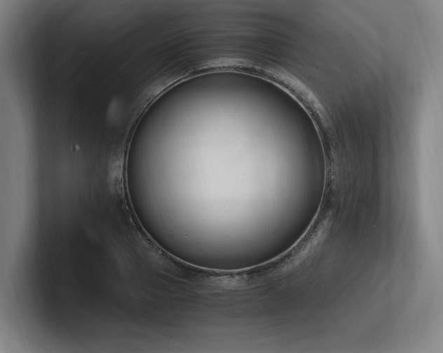 X0000102760937200808181106