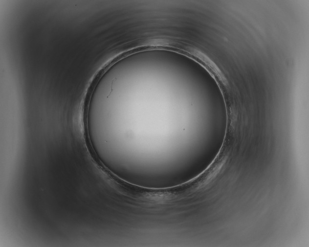 X0000102760939200808181106