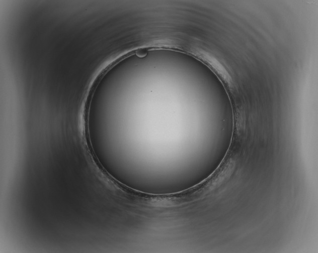 X0000102760944200808181106