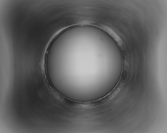 X0000102760948200808181106
