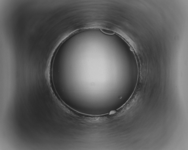 X0000102760949200808181106