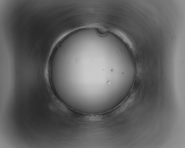 X0000102760952200808181106