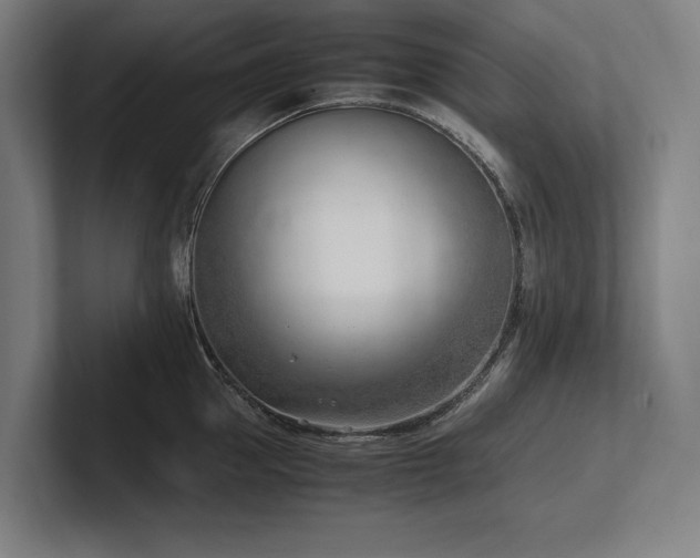 X0000102760953200808181106