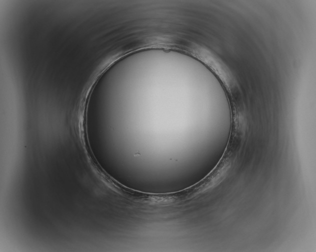 X0000102760954200808181106