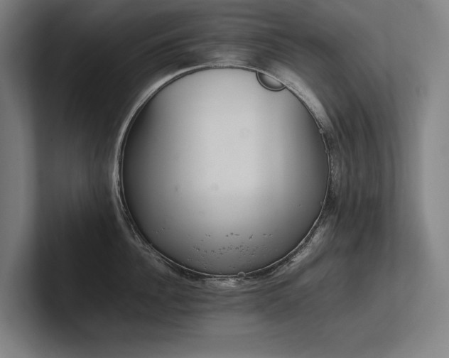 X0000102760956200808181106