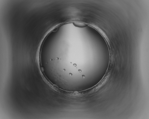 X0000102760957200808181106