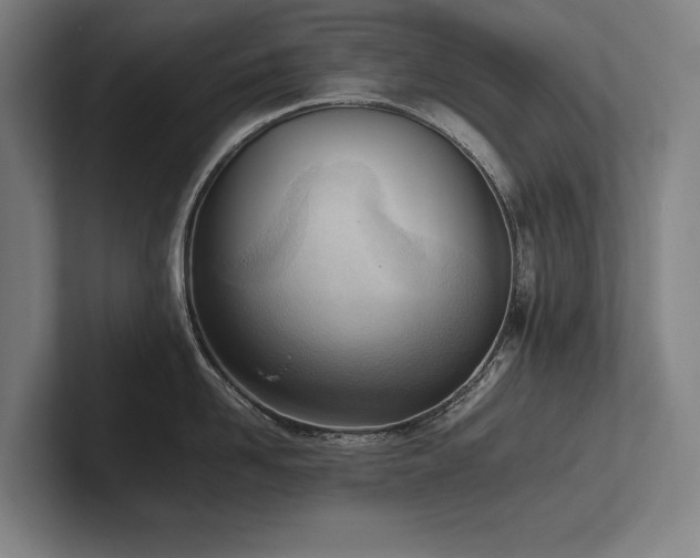 X0000102760958200808181106