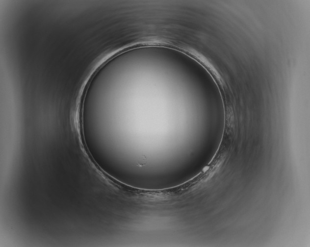 X0000102760959200808181106