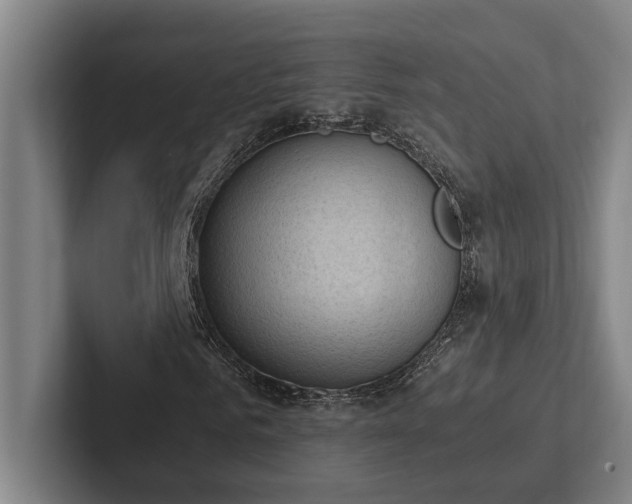 X0000102760961200808181106
