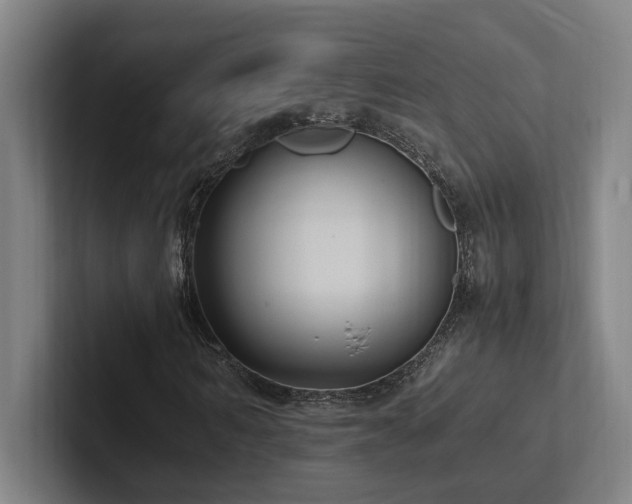 X0000102760962200808181106