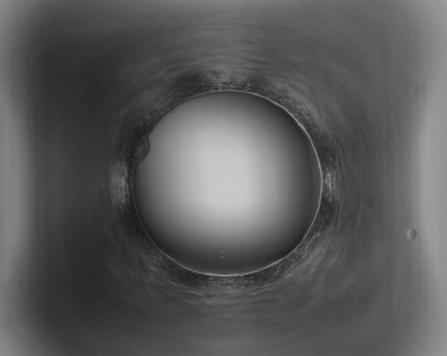 X0000102760963200808181106