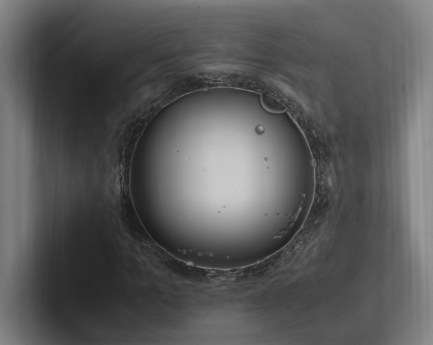 X0000102760965200808181106