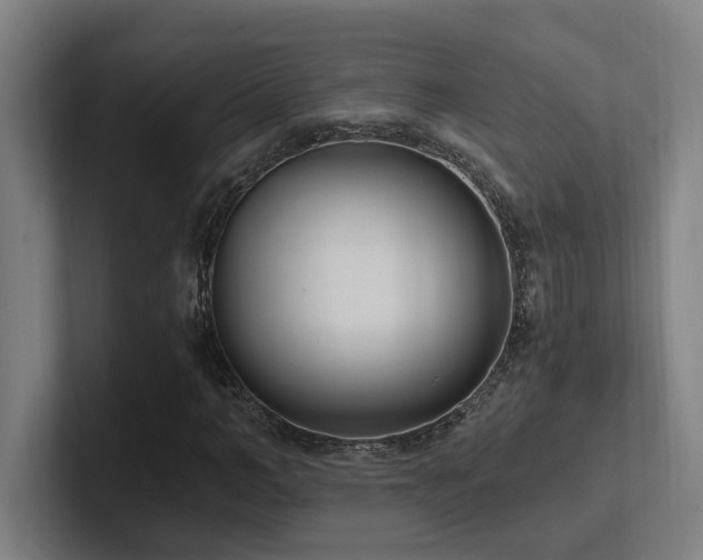 X0000102760966200808181106