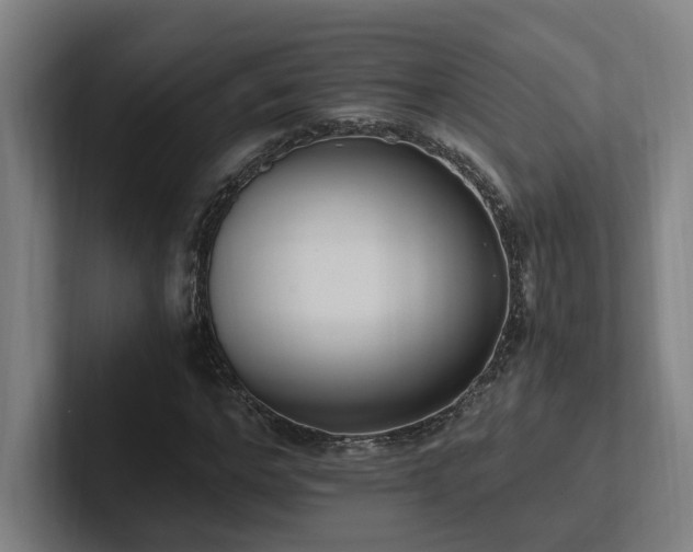 X0000102760968200808181105