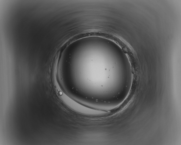 X0000102760969200808181105