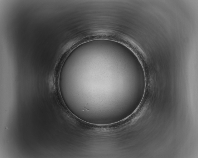 X0000102760970200808181105