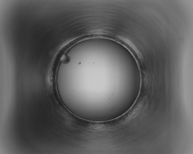 X0000102760971200808181105