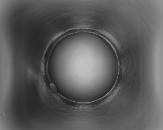 X0000102760974200808181105