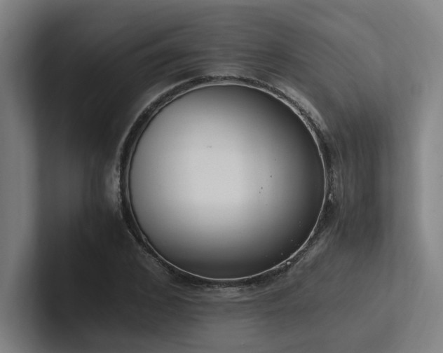 X0000102760976200808181105
