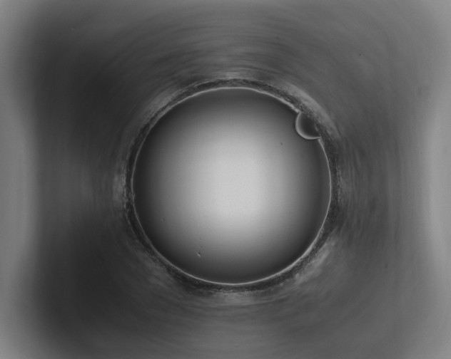 X0000102760977200808181105