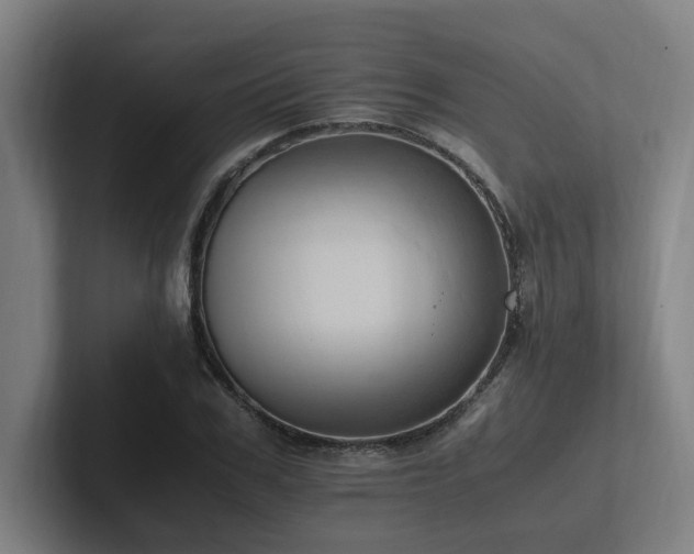 X0000102760979200808181105