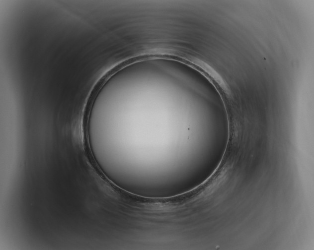X0000102760980200808181105