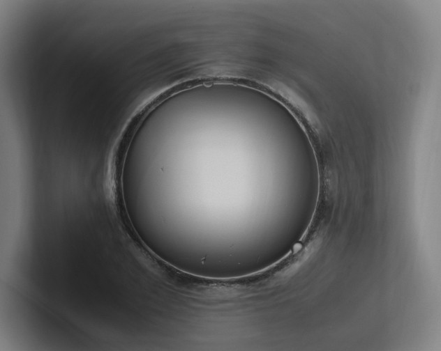 X0000102760981200808181105