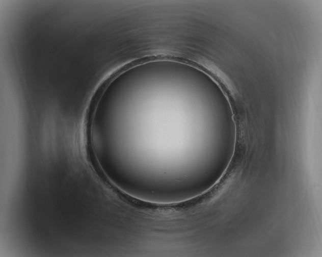 X0000102760983200808181105