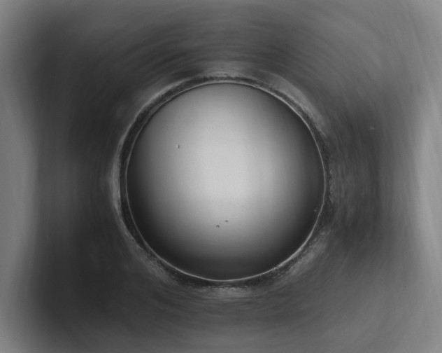 X0000102760984200808181105