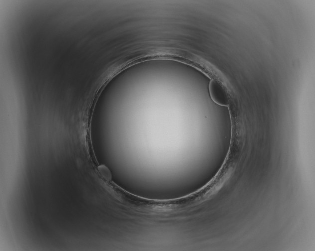 X0000102760985200808181105