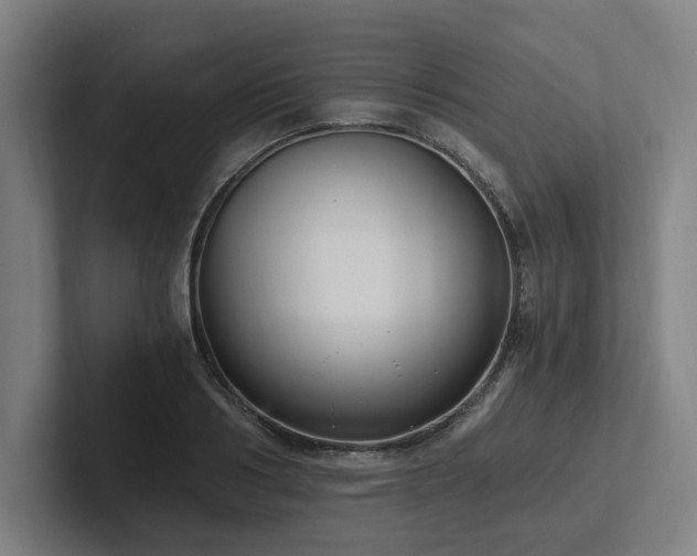 X0000102760986200808181105