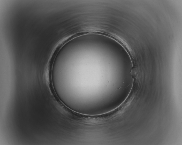 X0000102760987200808181105