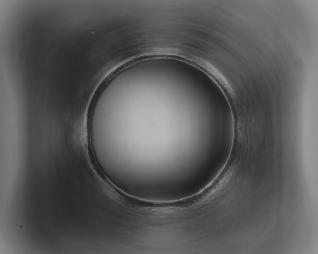 X0000102760988200808181105