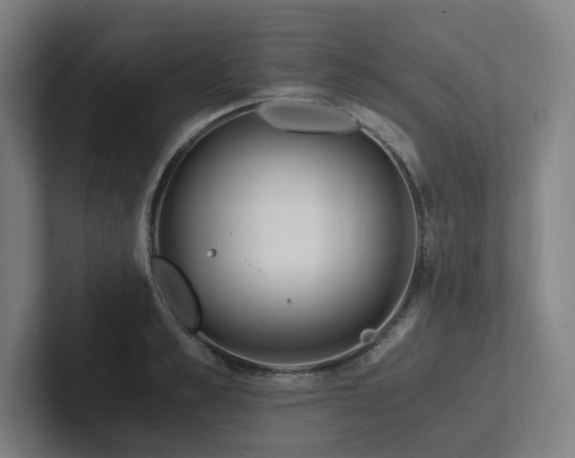X0000102760989200808181105