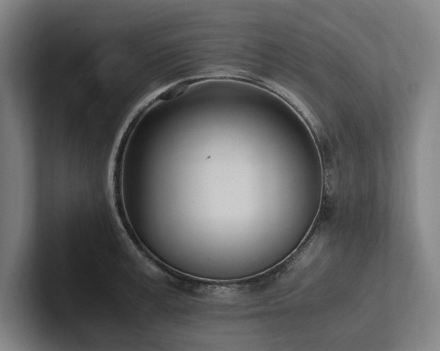 X0000102760995200808181105