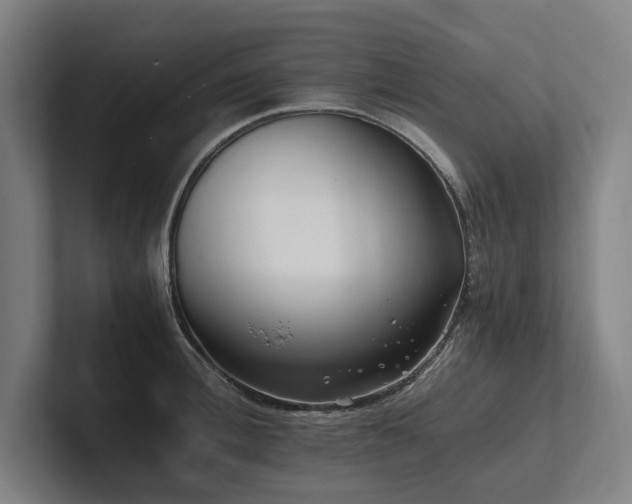 X0000102760996200808181105