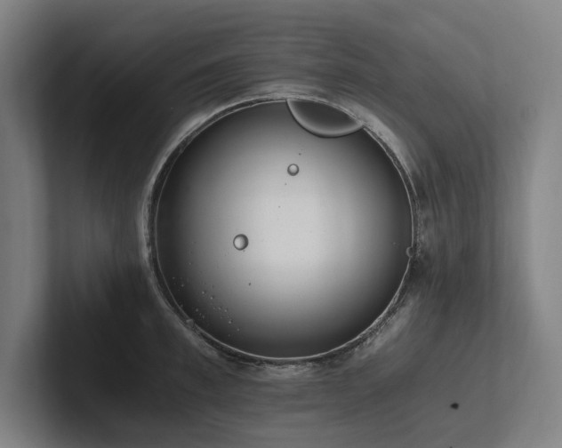 X0000102760997200808181105