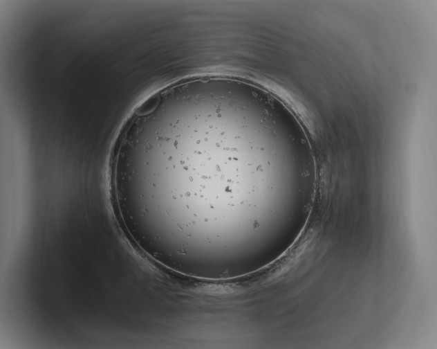 X0000102760998200808181105