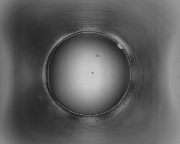 X0000102760999200808181105
