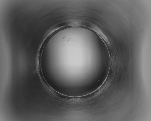 X0000102761000200808181105