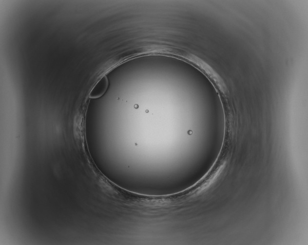 X0000102761001200808181105