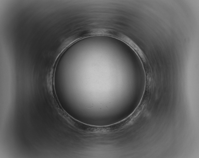X0000102761002200808181105