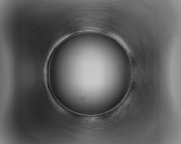 X0000102761003200808181105