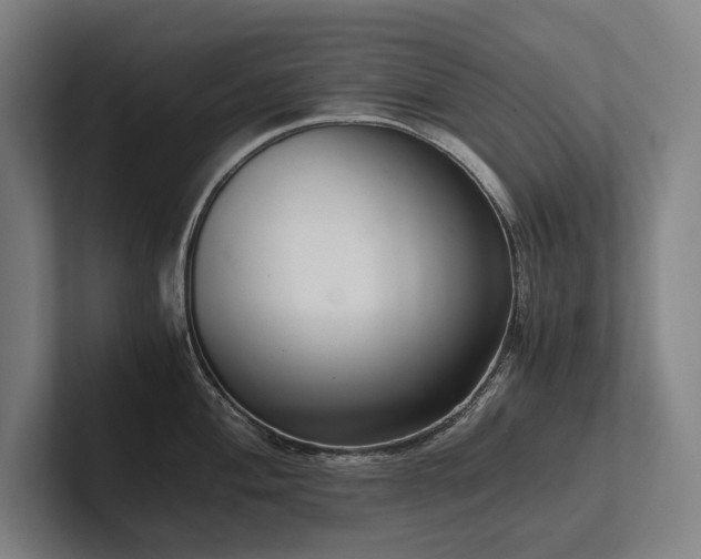 X0000102761004200808181105